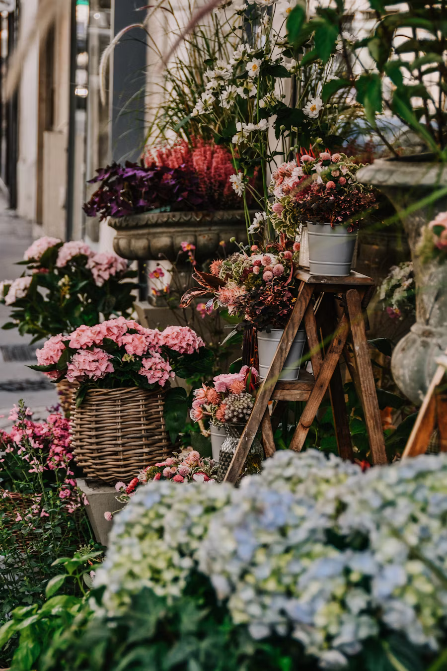 Flower catalog